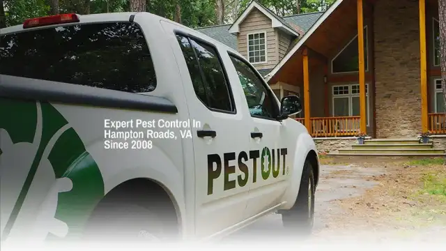 PESTOUT — Newport News