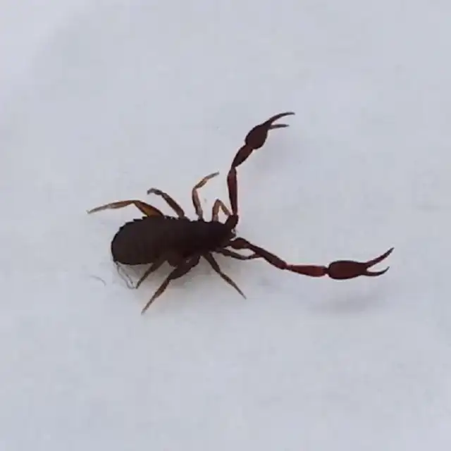1O1 Pest Control LLC — Cohoes