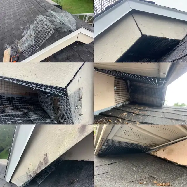 A1 Home Pest Control Inc. — Clermont