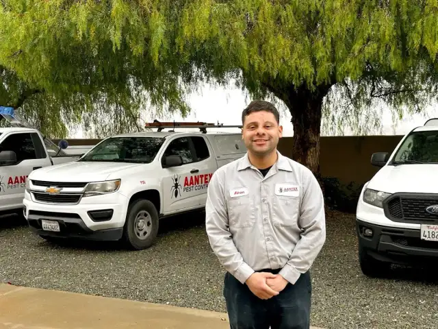 Aantex Pest Control — Brentwood