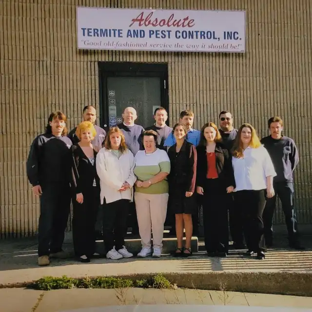 Absolute Termite and Pest Control Inc — Stratford
