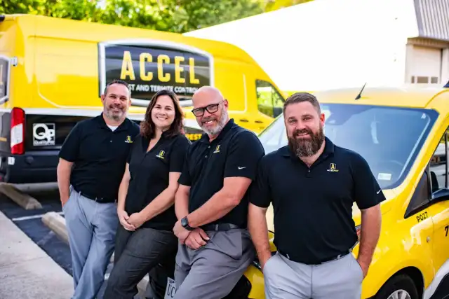 Accel Pest & Termite Control — Hampton
