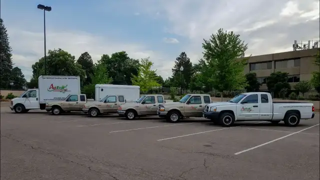 AcEco Extermination — Centennial