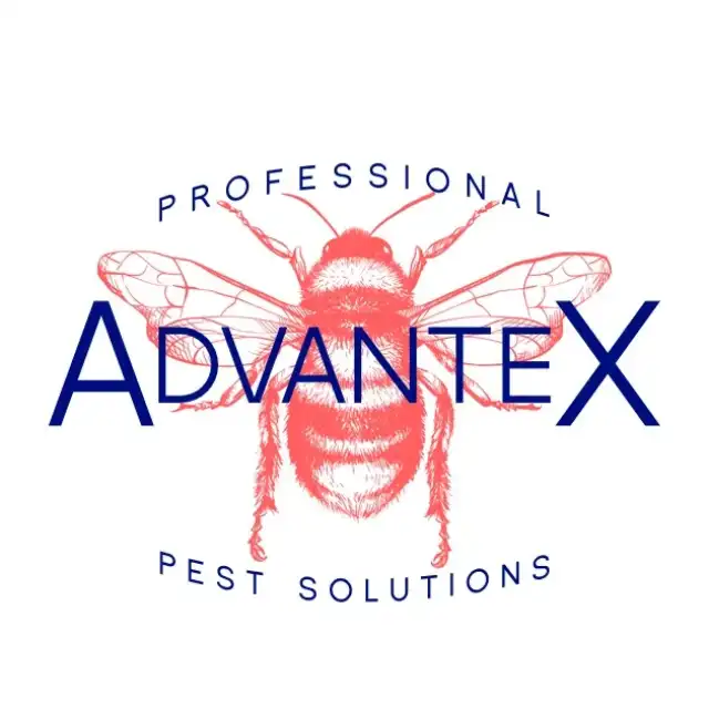 Advantex Pro Solutions — Dallas