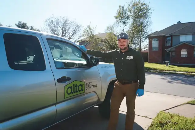 Alta Pest Control — Auburn