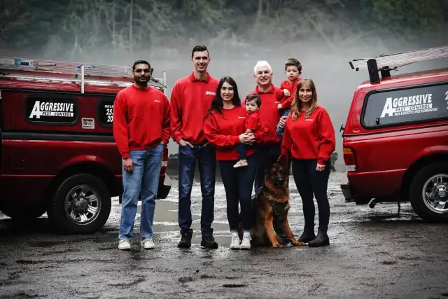 Aggressive Pest Control — Kent