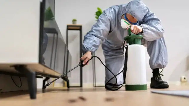 Aim Pest Control, Inc — Dallas