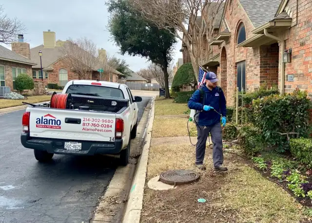 Alamo Termite & Pest Control — Dallas