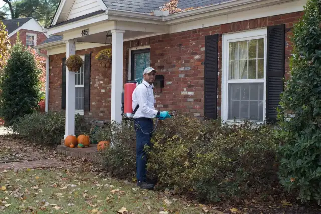 Allied Termite & Pest Control — Memphis