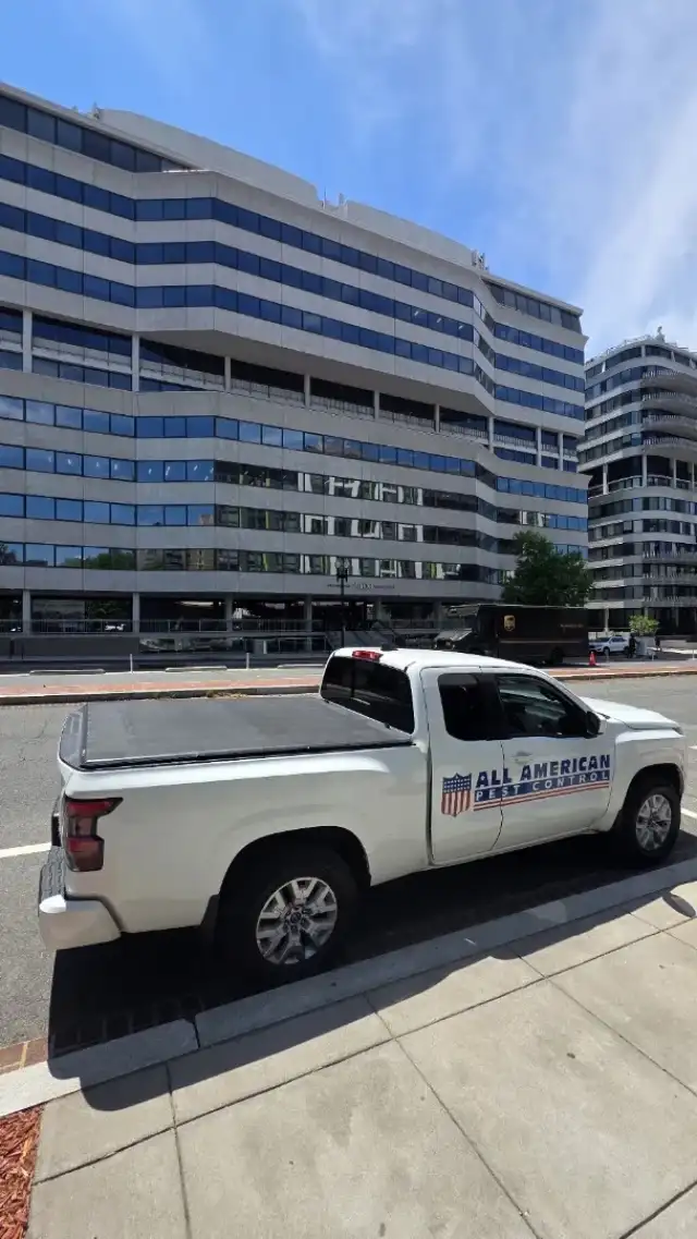 All American Pest Control — Falls Church