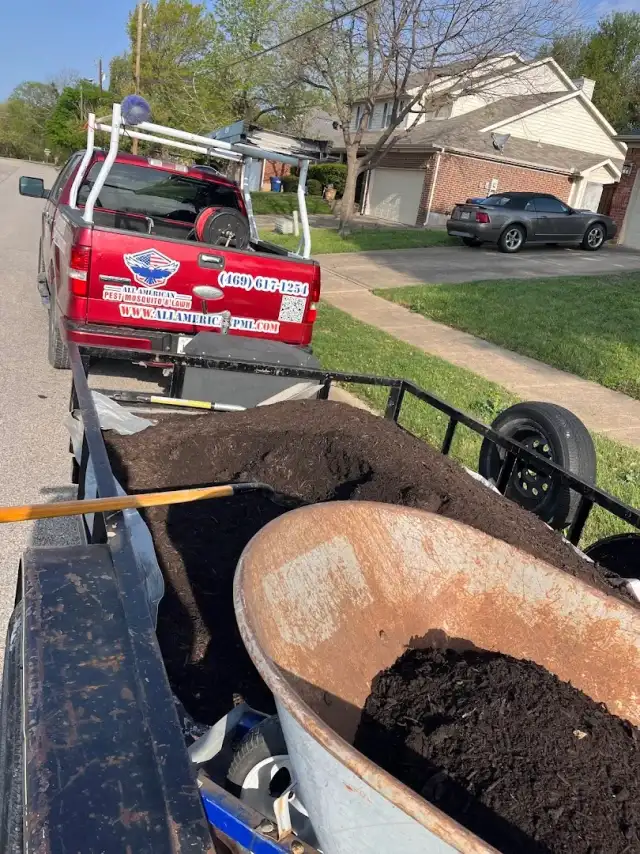 All American Pest Mosquito and Lawn — Angleton