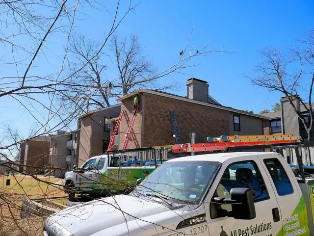 All Pest Solutions — McKinney