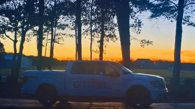All-Stars Pest Control — Mechanicsville