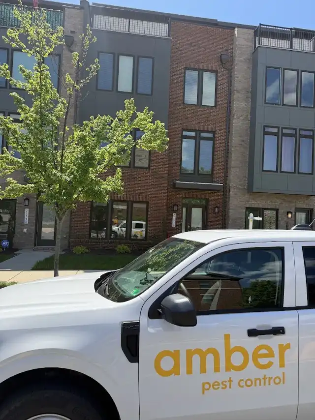 Amber Pest Control — Ashburn