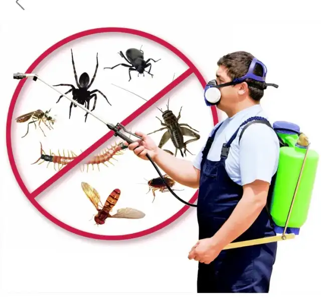 America's Pest Elimination — Houston