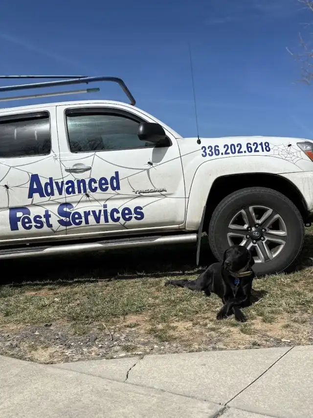 Advanced Pest Services — Greensboro