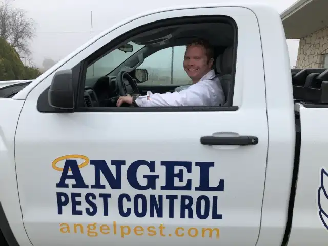 Angel Pest Control — Seguin