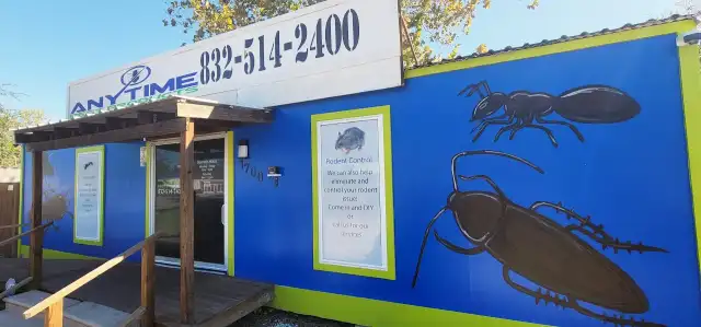 Anytime Pest Elimination — Houston