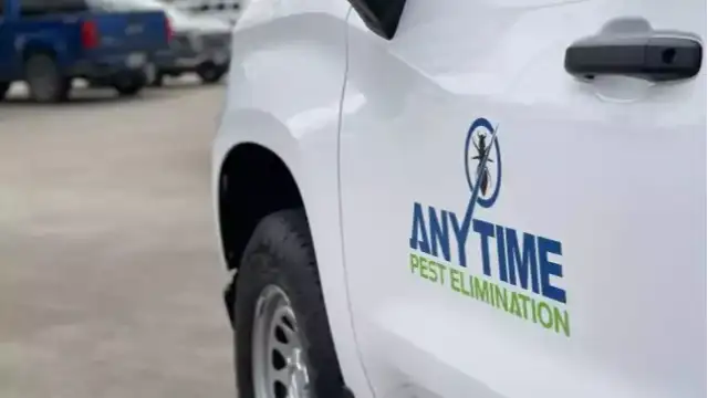 Anytime Pest Elimination Richmond — Richmond