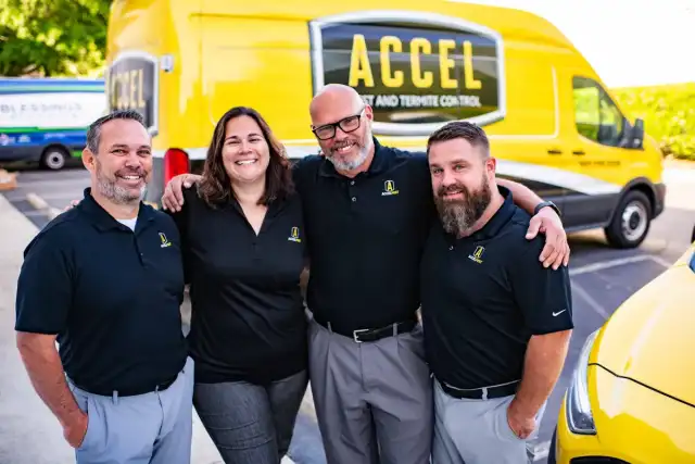 Accel Pest & Termite Control — Richmond