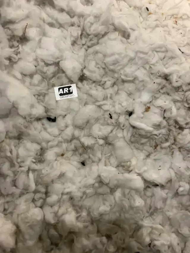 AR1 Group — Alexandria