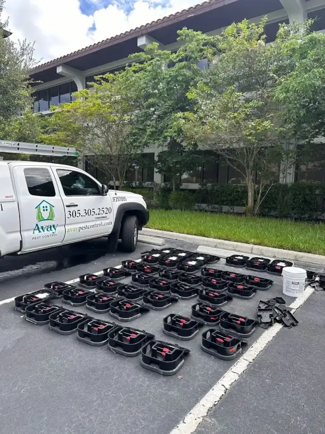 Avay Pest Control, Inc. — Miami