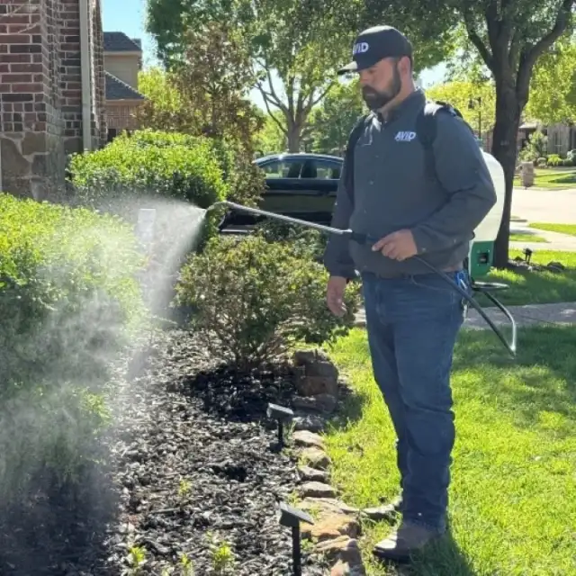 Avid Pest Solutions LLC — McKinney