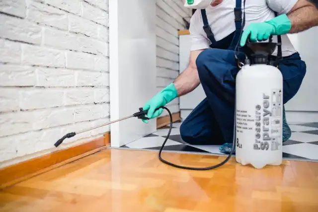 Frontline Pest Control Service — Dade City