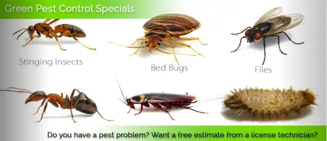 Green Pest Control — Harrisburg