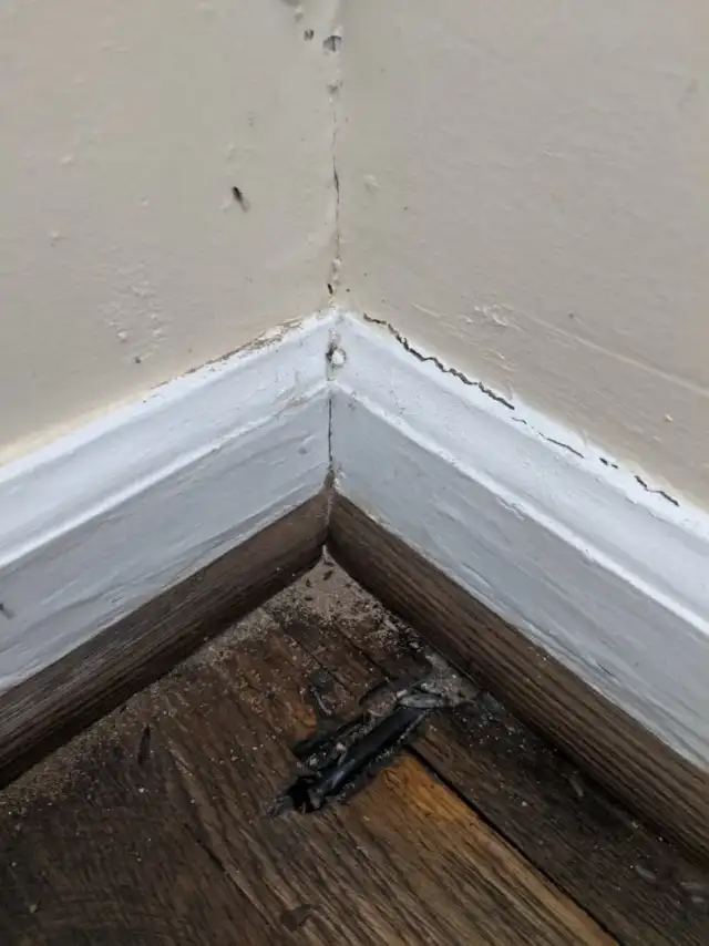 Bales Termite & Pest Control — Newport News