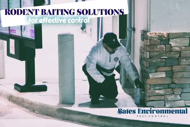 Bates Environmental Pest Control — Houston