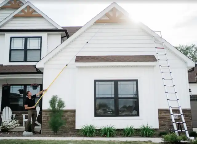 Bamboo Pest Control — Richmond