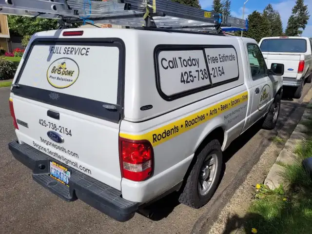 Be Gone Pest Solutions — Renton