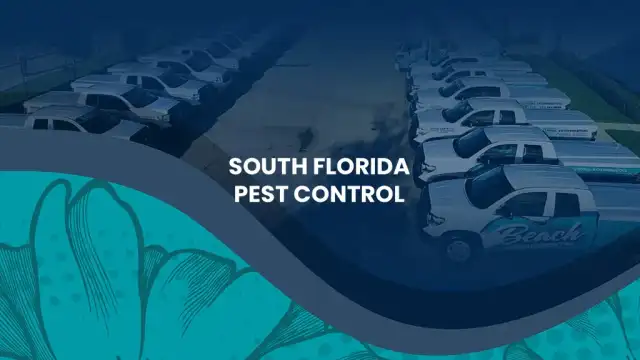 Beach Environmental Pest Control — Hollywood