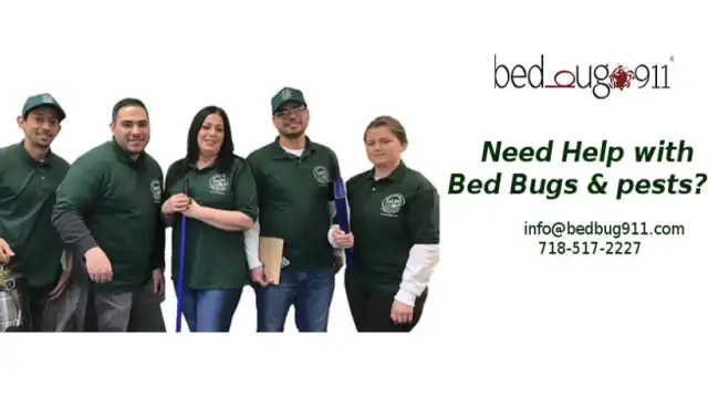 Bed Bug 911 — Brooklyn