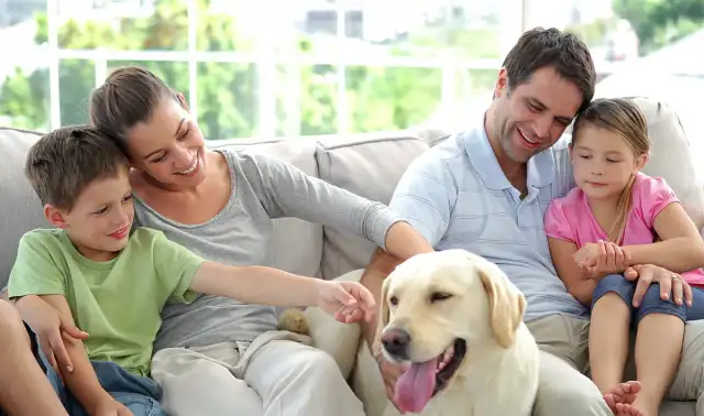 ClearDefense Pest Control — Greensboro