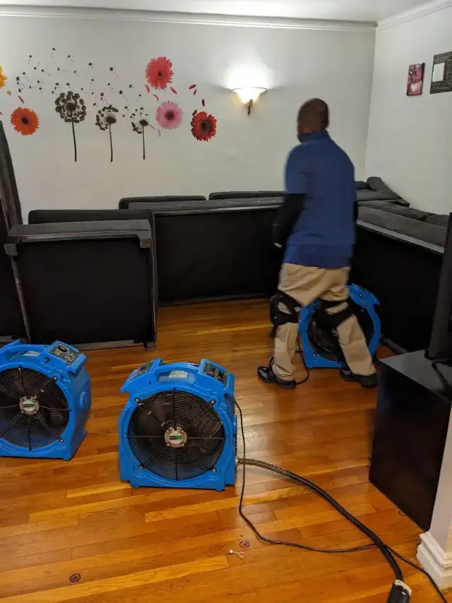 Best Bed Bug Heating LLC — New York