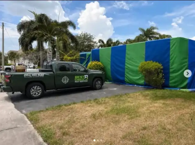 Best Choice Pest Services Inc - Boca Raton Pest Control, Termite Removal, Mosquitoes, Ants, Rodent Control — Boca Raton