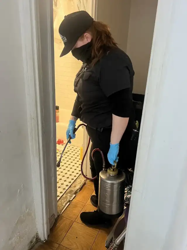 Beyond Pest Control — Astoria