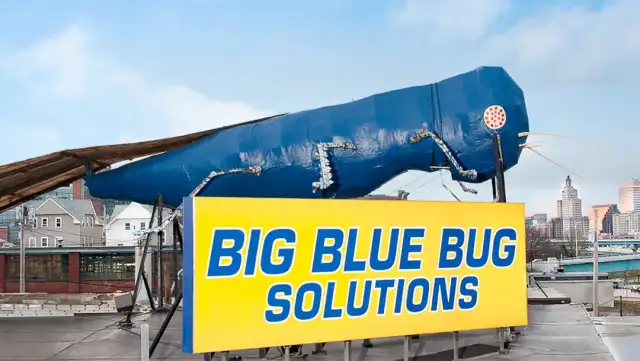 Big Blue Bug Solutions — South Portland