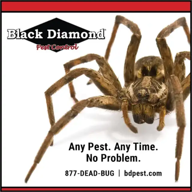 Black Diamond Pest Control — Nicholasville