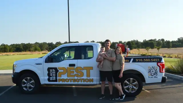 Black Sheep Pest Protection — Elverta