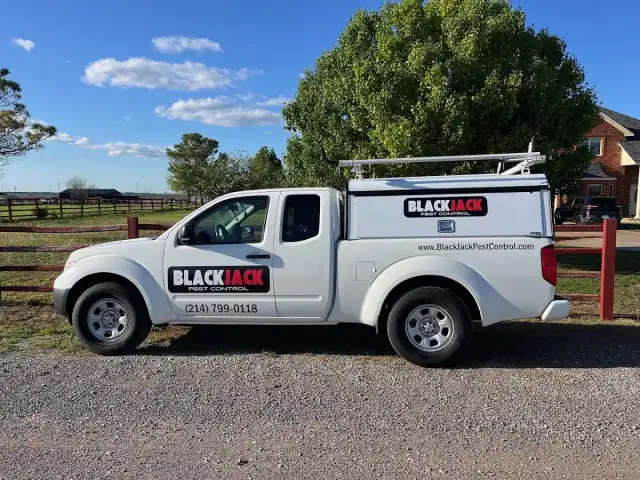 BlackJack Pest Control — Dallas