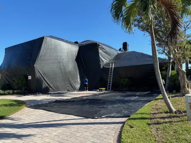 Brantley Termite & Pest Control — Clearwater