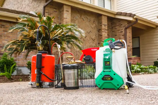 Bug Head Pest Control — Denton