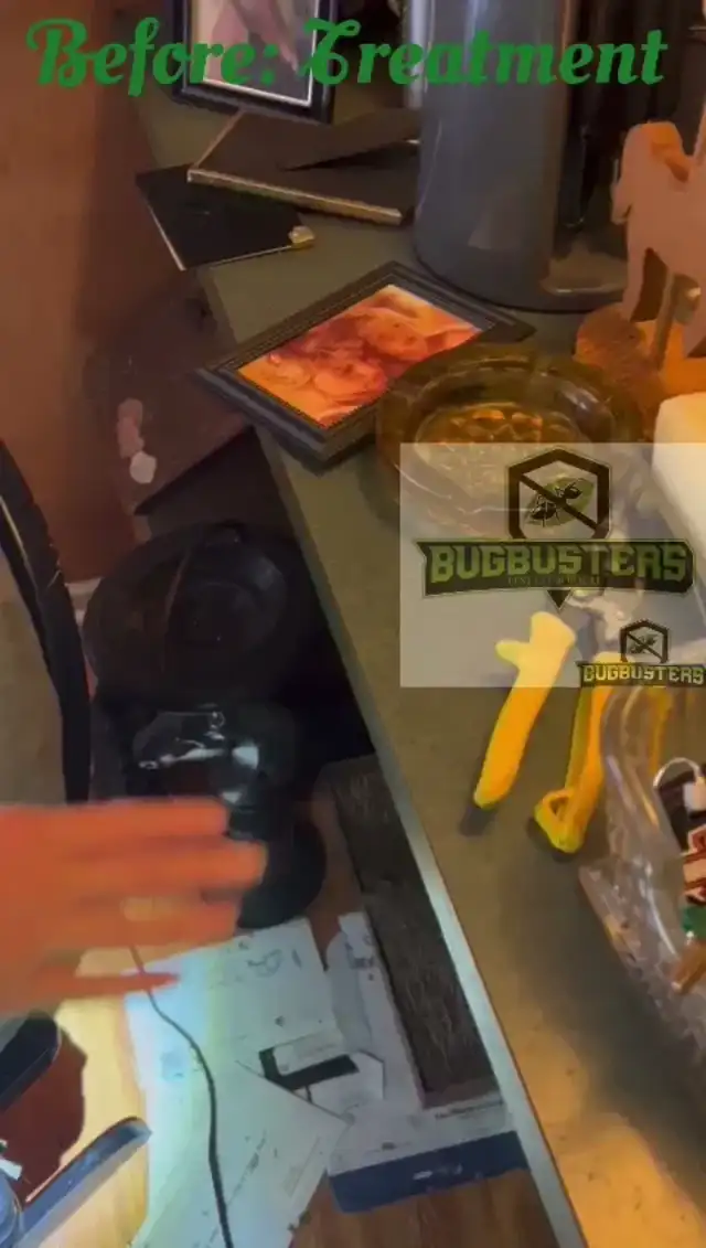 BugBusterz Pest Control LLC — Richmond