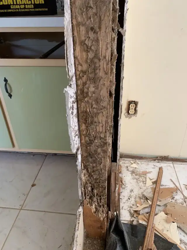 Buggin Out Termite & Pest Control, Inc. — Largo