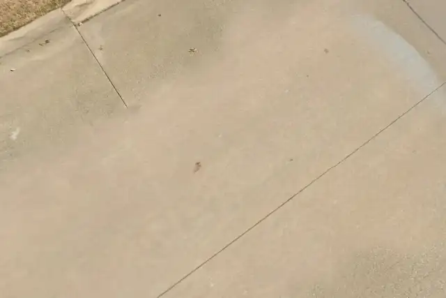 Bullseye Pest Management — Fort Worth