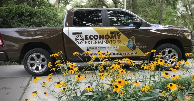 Economy Exterminators — Apex