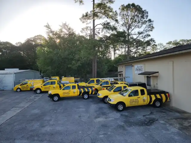 Busy Bee Termite & Pest Control Inc — Jacksonville